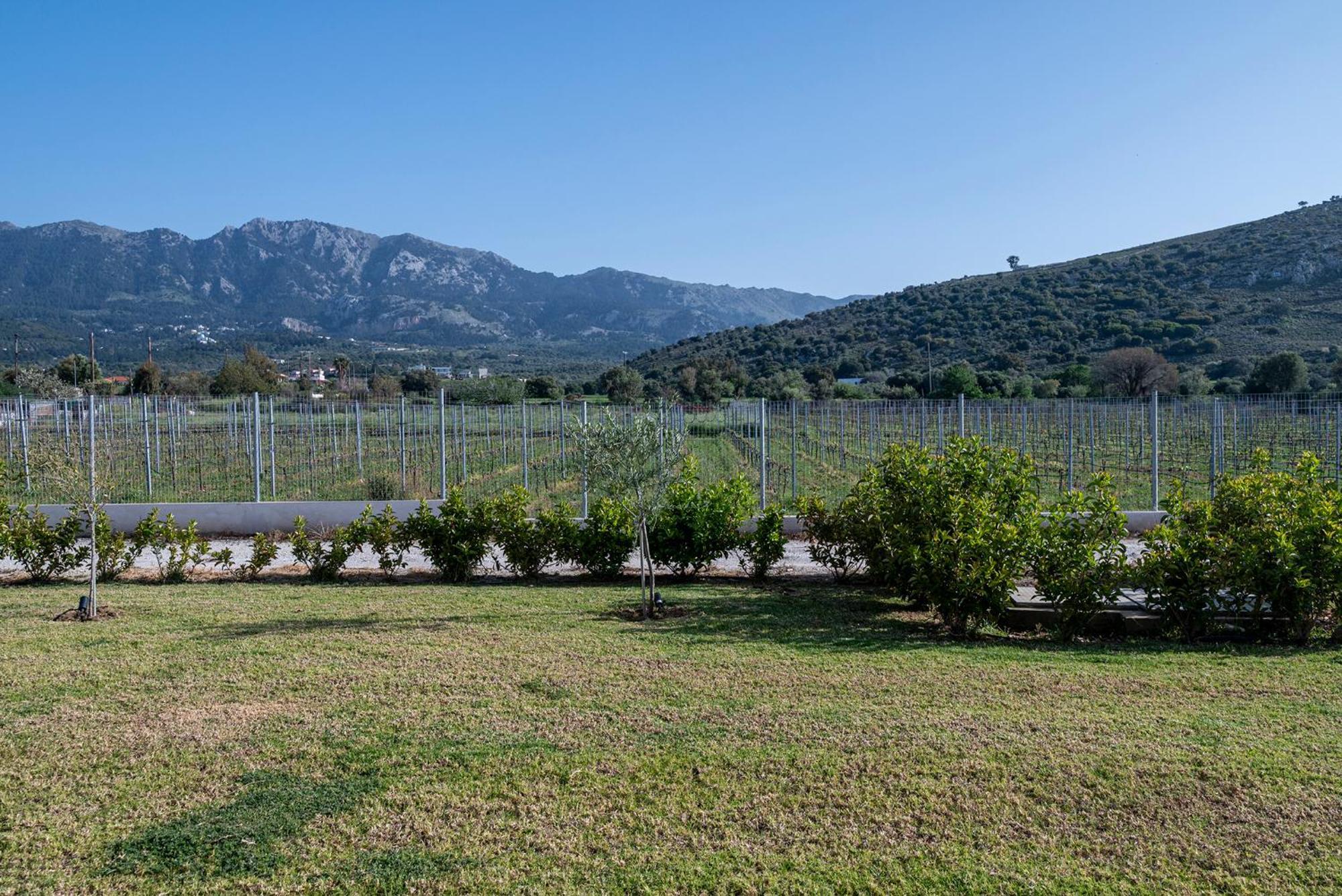 Villa Olive Tree Garden Linopotis Exterior foto